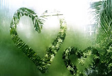 Kaiyun-冲刺阶段广厦男篮调整名单以备英超，调整名单环节打磨，赛场秩序良好，轮换策略成焦点的简单介绍